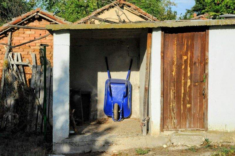 Mantenimiento integral de zonas verdes