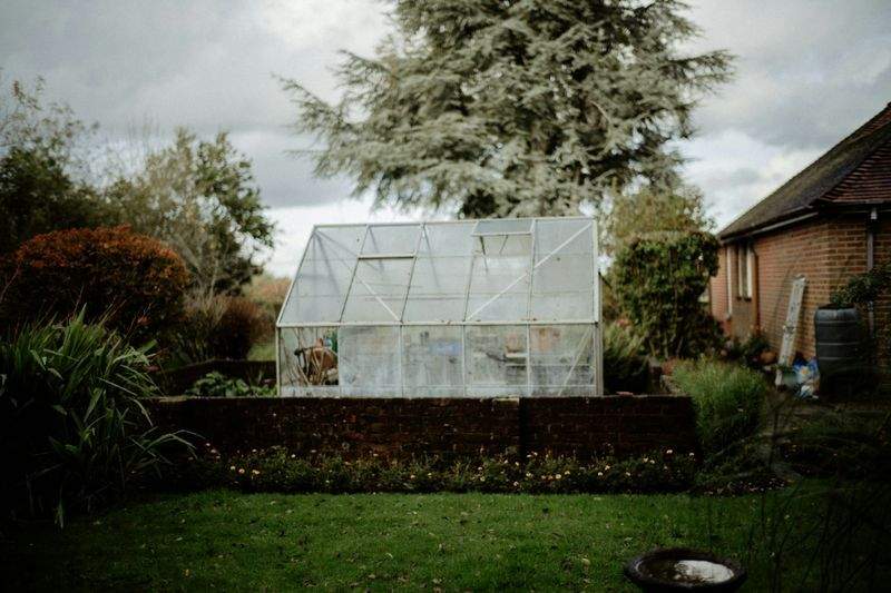 Limpieza y puesta a punto de jardines